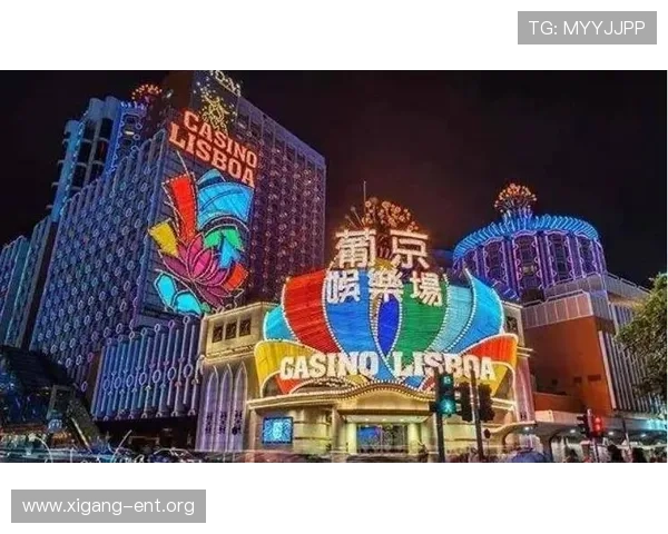 新葡京娱乐城网址官方最新更新确保玩家快速访问无障碍体验多样化的游戏选择满足不同玩家需求